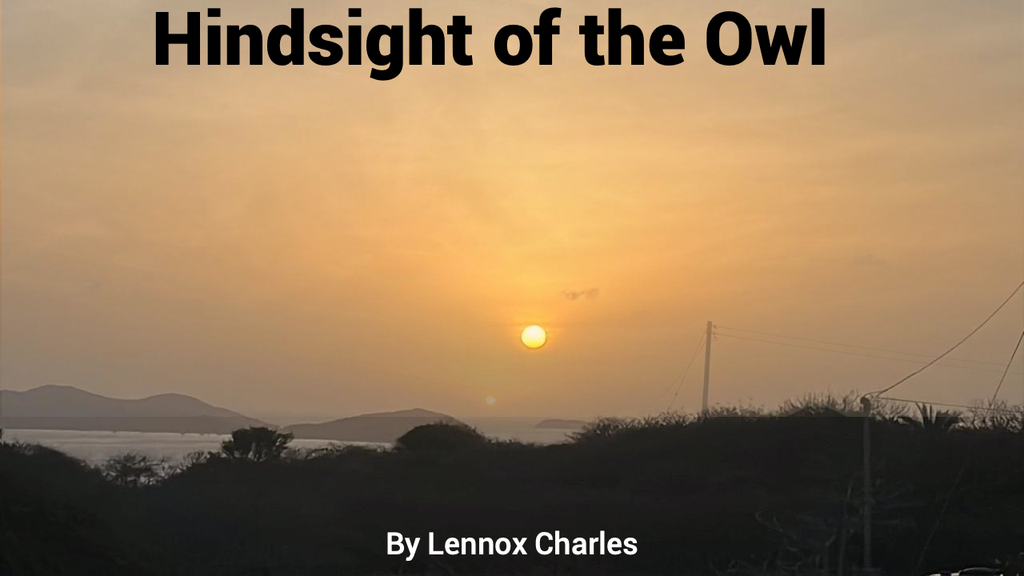 The Hindsight of the Owl